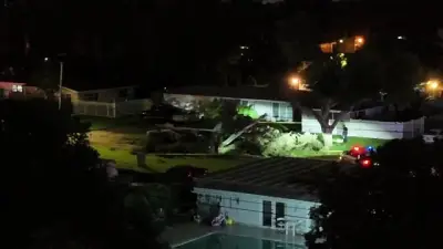 Small plane crashes in Pembroke Pines neighborhood, prompts road closure; 4 transported for minor injuries