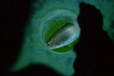 Colorado lake named among best places for ice fishing in U.S.