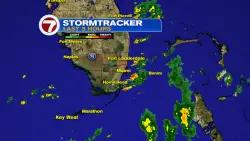 Daily Downpours Soon A Thing Of The Past