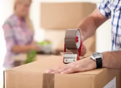 Cutting cardboard and the signs it delivers about the economy