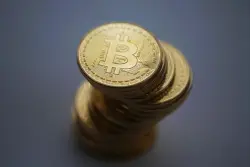 Nigerian man sentenced to six years in prison in crypto romance scheme with Colorado widow